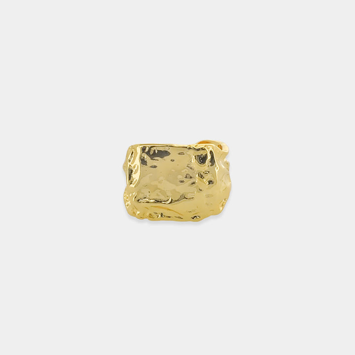 808RN049 - Hammered Ring